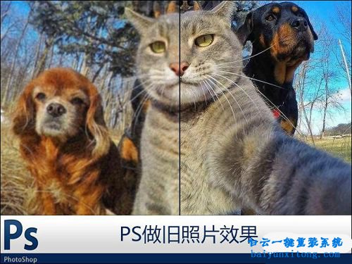 ps做舊照片效果,ps怎么把照片做舊,ps添加雜色步驟