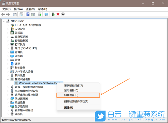 Win11,生物識(shí)別,生物特征識(shí)別步驟