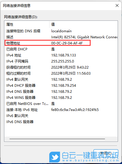 Win11,mac地址怎么查,MAC地址,mac地址查詢步驟
