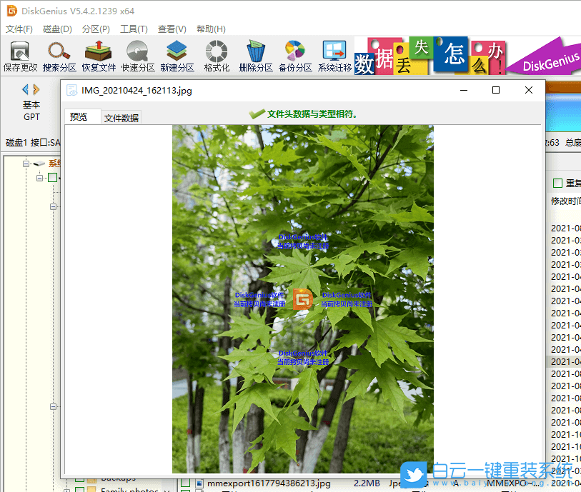文件,誤刪文件,數據恢復步驟