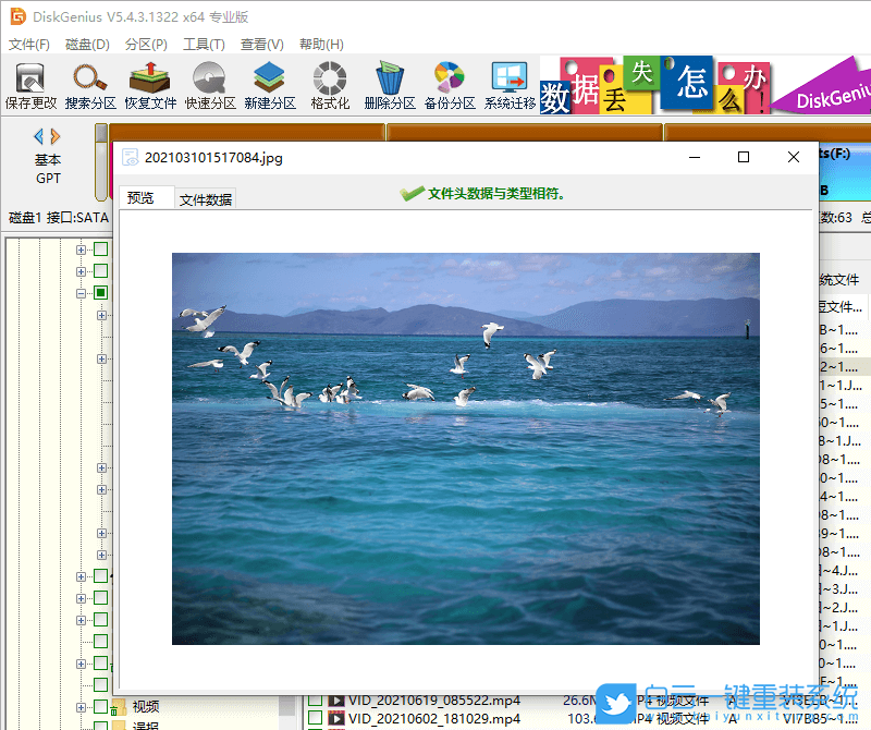 電腦硬盤,硬盤壞道,機械硬盤,數據恢復步驟